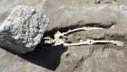 Encuentran restos de una víctima decapitada en Pompeya