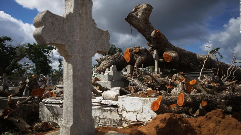 Cifra de muertos en Puerto Rico por María es de 4.000: Harvard