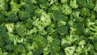 Brócoli: contiene un 90,7% de agua. Como su prima la coliflor, funciona muy bien en ensaladas, aunque su perfil nutricional (fibra, potasio, vitaminas A y C) lo hacen mejor.