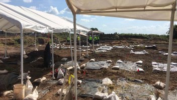 Encuentran en Texas restos de un centenar de esclavos enterrados