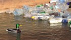 El plástico que se desintegra en el agua