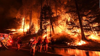 Incendios forestales en EE.UU.: más duraderos y potentes que nunca