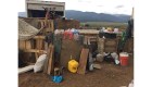 11 niños rescatados de condiciones deplorables en campamento en Nuevo México