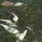 Algas tóxicas están acabando con la fauna de la costa de Florida, en Estados Unidos.