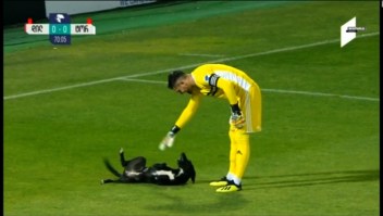 Un perro juguetón invade campo de fútbol