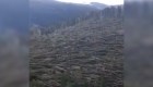 Bosques en Italia fue aplastado por poderosos vientos