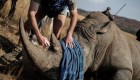 China da marcha atrás y protege a tigres y rinocerontes
