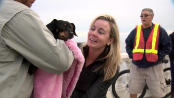 Policía rescata a un perro y a su dueño de drenaje en Tampa