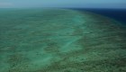 Plan piloto revive la Gran Barrera de Coral