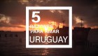 Te damos 5 razones para amar Uruguay
