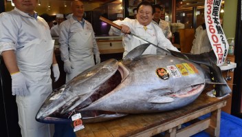 Millones por 278 kilos de atún