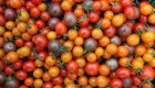 EE.UU. impone arancel a tomates mexicanos