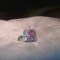 El diamante "chicle" se vendió por más de US$ 7,5 millones