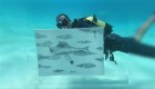 Un artista cubano pinta en el fondo del mar