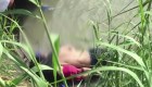 Padre e hija se ahogan en el Río Grande al intentar llegar a EE.UU.