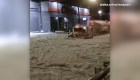 Tormenta de granizo en Guadalajara en México