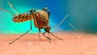 Declaran epidemia de dengue en Filipinas