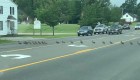 Esta fila interminable de patos detuvo el tráfico en Maine