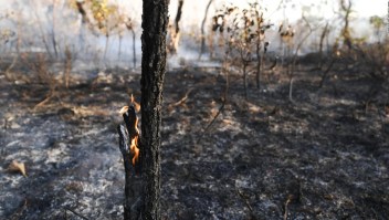 MinutoCNN: La Amazonia arde a una velocidad récord