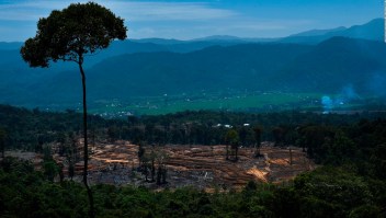 Los 5 países con mayor deforestación