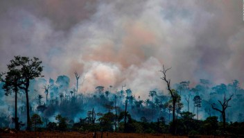Riesgos económicos de la devastación en el Amazonas