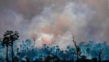 Incendios en el Amazonas: ¿Alcanza el dinero que ofrece el G7?