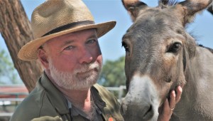 Este héroe de CNN se dedica a rescatar burros