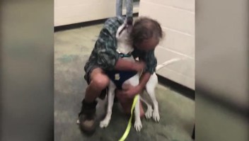 Emotivo reencuentro de un perro con su dueño en Memphis