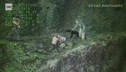 Rescatan a dos personas y a sus perros en un montaña en Alaska
