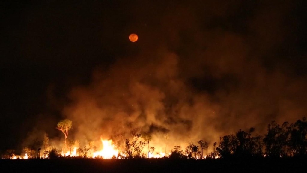 Incendios en Amazonas: ya tienen consecuencias en la salud
