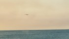 Aviones cisternas recogen agua del océano para apagar incendio