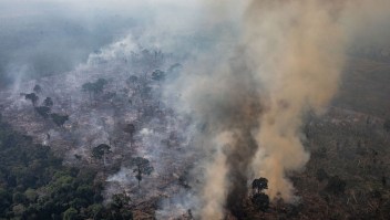 Deforestación Amazonas la más alta en una década
