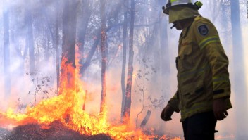 Incendios forestales sin precedentes en Australia