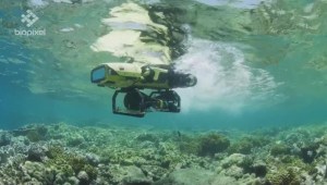 Australia: un robot ayuda a salvar los corales