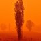 Incendios tiñen el cielo de naranja en Australia