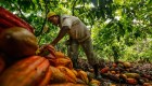 La OPEP del cacao ¿subirá el precio de chocolate?