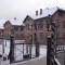 El horror de Auschwitz: los sobrevivientes hacen memoria