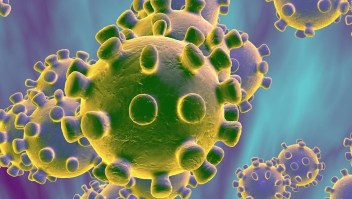Coronavirus: detectan el primer caso en Ecuador