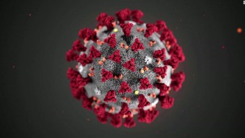 coronavirus microscopio