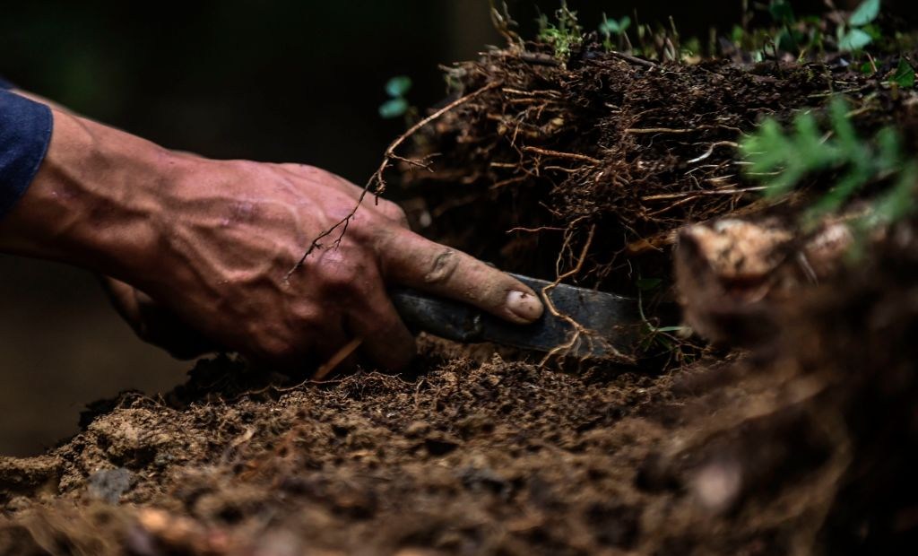 A deminer digs Looking for mines at a mine field at the Orejon sector in the municipality of Briceno, Antioquia Department, Colombia, on November 22, 2017. Colombia's landmark peace deal with Marxist FARC rebels was supposed to mean peace for all but it has made little difference to indigenous and Afro-Colombian minorities, Amnesty International said on November 22, 2017. Although the agreement between the Colombian government and the FARC was signed, armed conflict is still very much the reality for millions across the country," said Salil Shetty, Secretary General at Amnesty International. / AFP PHOTO / JOAQUIN SARMIENTO (Photo credit should read JOAQUIN SARMIENTO/AFP via Getty Images)