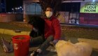Un hombre se dedica a alimentar perros callejeros en la cuarentena