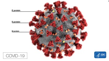 Estados Unidos explora la posibilidad de que el coronavirus haya comenzado en el laboratorio chino, no en un mercado