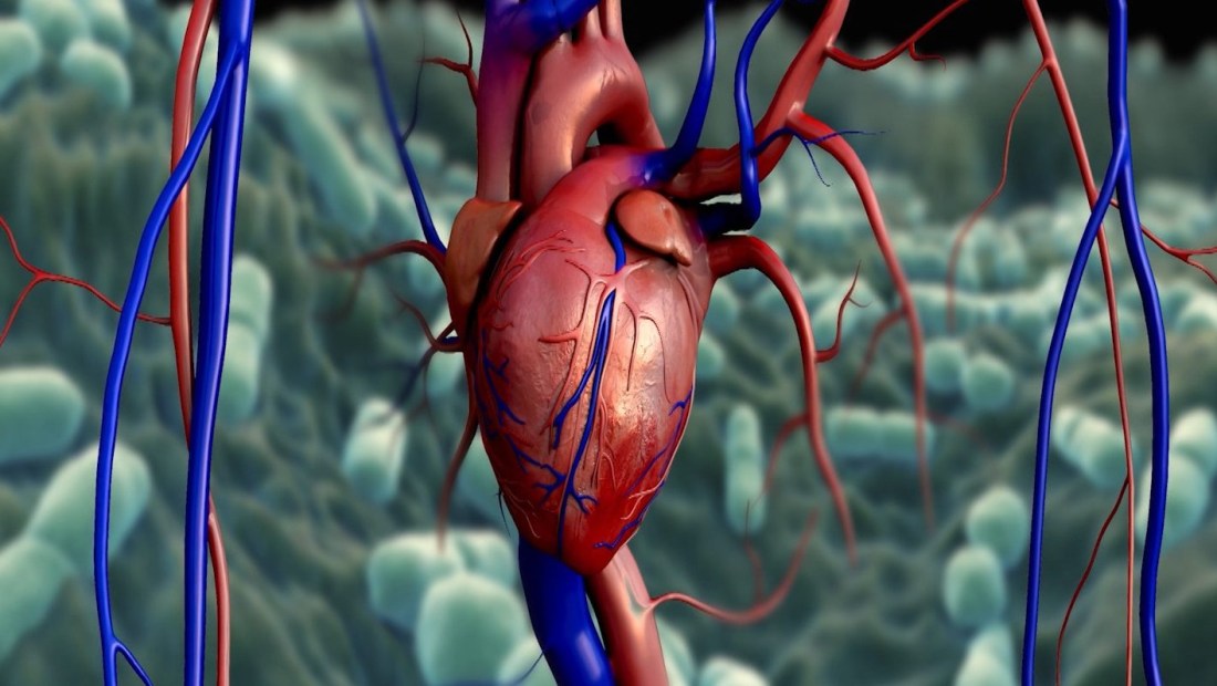 ¿Cuán riesgoso es el covid-19 en pacientes con enfermedades del corazón?