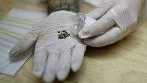 Colombia exporta cannabis a EE.UU.
