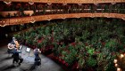 Insólito concierto para plantas en Barcelona