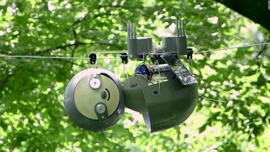 Este perezoso robot podría proteger ecosistemas en peligro