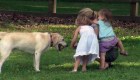 ¿Por qué es importante la relación entre niños y perros?