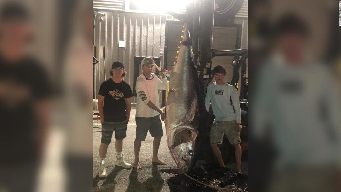 Adolescentes atrapan un raro atún de 300 kilos