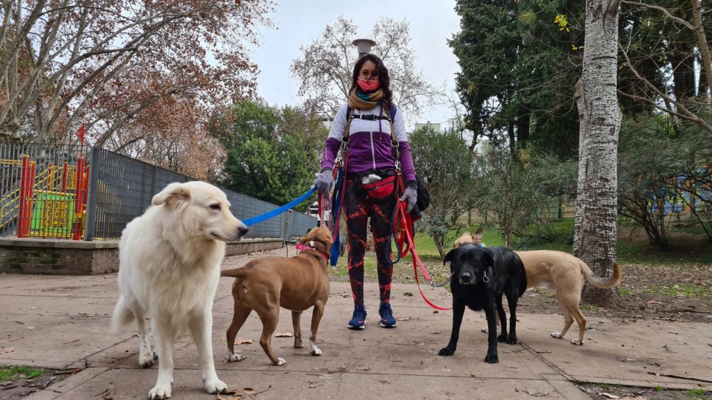 Vuelven los paseadores de perros en Buenos Aires