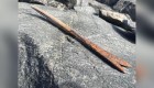 Encuentran en Noruega flechas de más de 6.000 años
